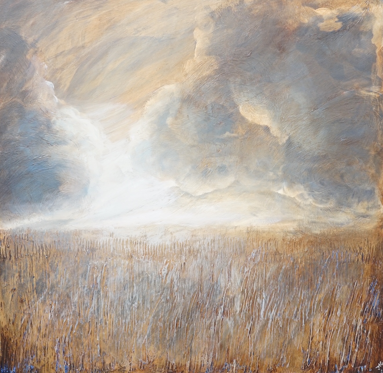 Julie Anne Gilbert (contemporary), oil on canvas, Storm over a field, signed with monogram, 100 x 100cm, unframed. Condition - good